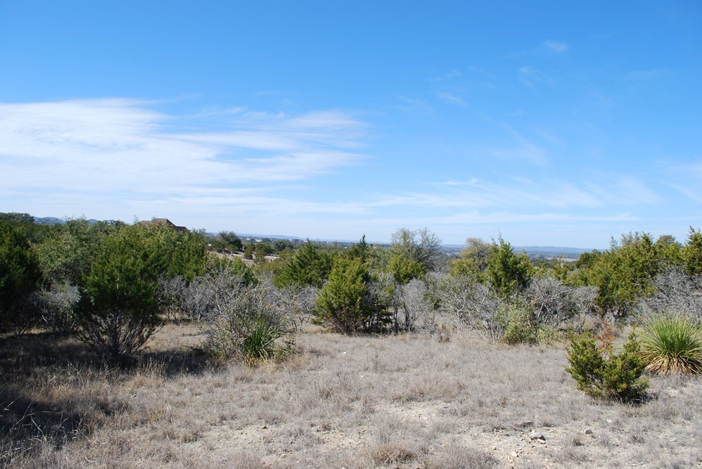Tbd Lariat Trace Bandera, TX 78003 - Photo 2 of 6 a view of a yard with a tree