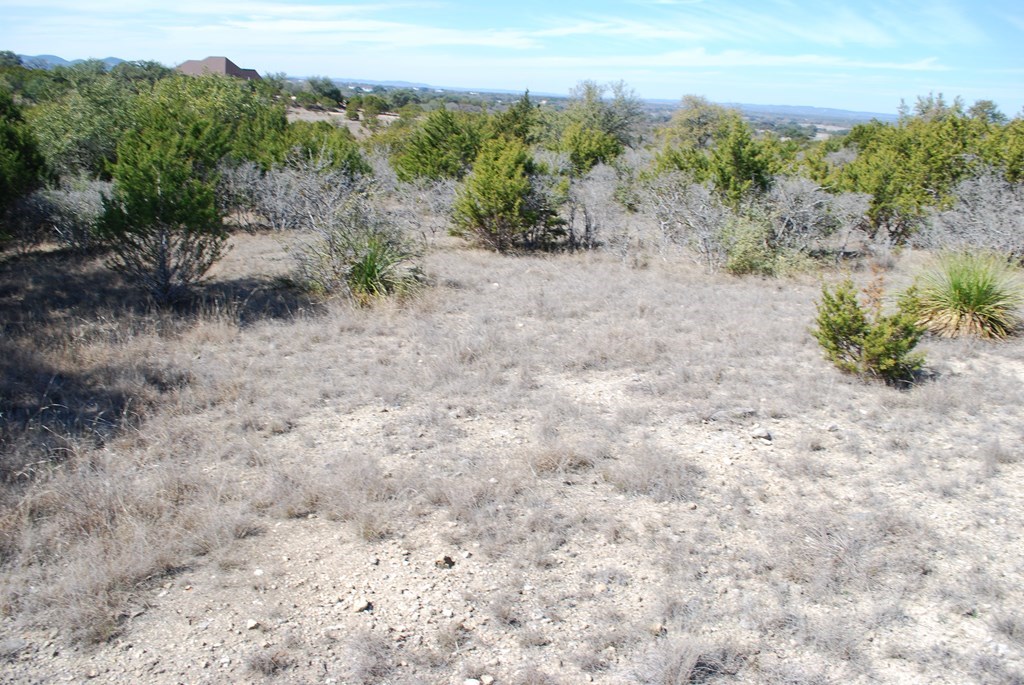 Tbd Lariat Trace Bandera, TX 78003 - Photo 4 of 6 a view of a dry yard with trees in the background