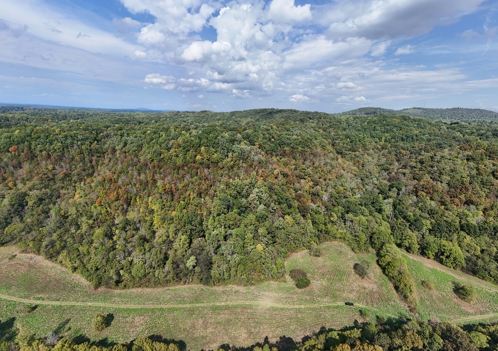 5154 Dry Mill Creek Road Hilham, TN 38568 - Photo 11 of 36 Gallery Image 11