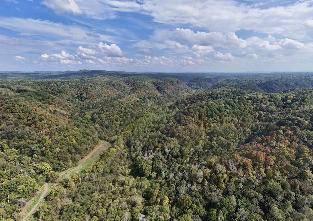 5154 Dry Mill Creek Road Hilham, TN 38568 - Photo 12 of 36 Gallery Image 12