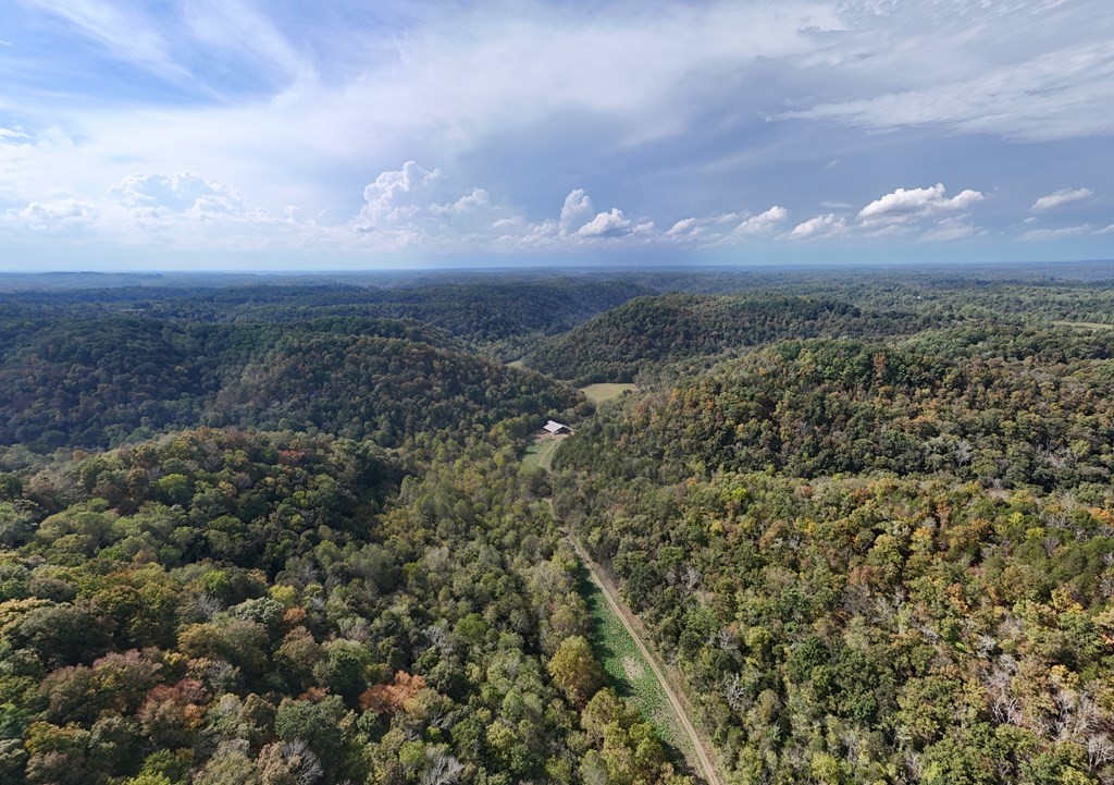 5154 Dry Mill Creek Road Hilham, TN 38568 - Photo 13 of 36 Gallery Image 13