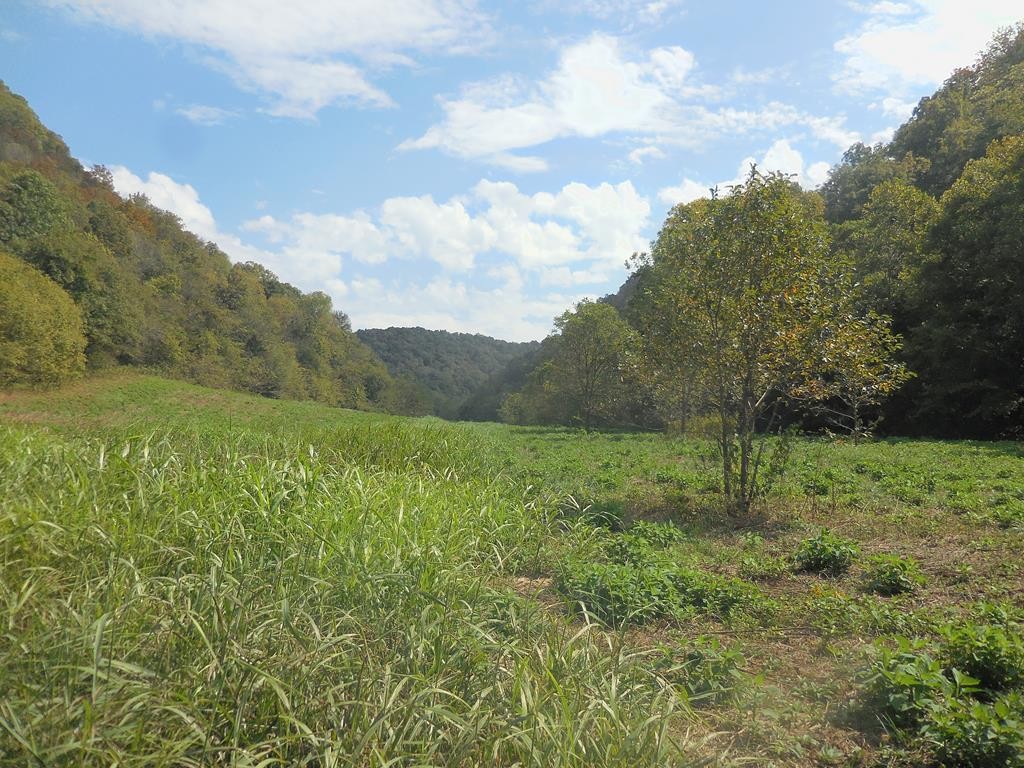 5154 Dry Mill Creek Road Hilham, TN 38568 - Photo 15 of 36 Gallery Image 15