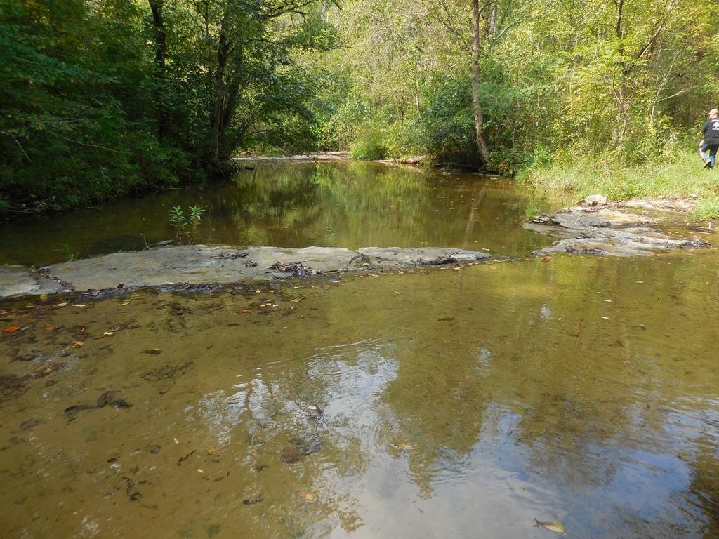 5154 Dry Mill Creek Road Hilham, TN 38568 - Photo 16 of 36 Gallery Image 16
