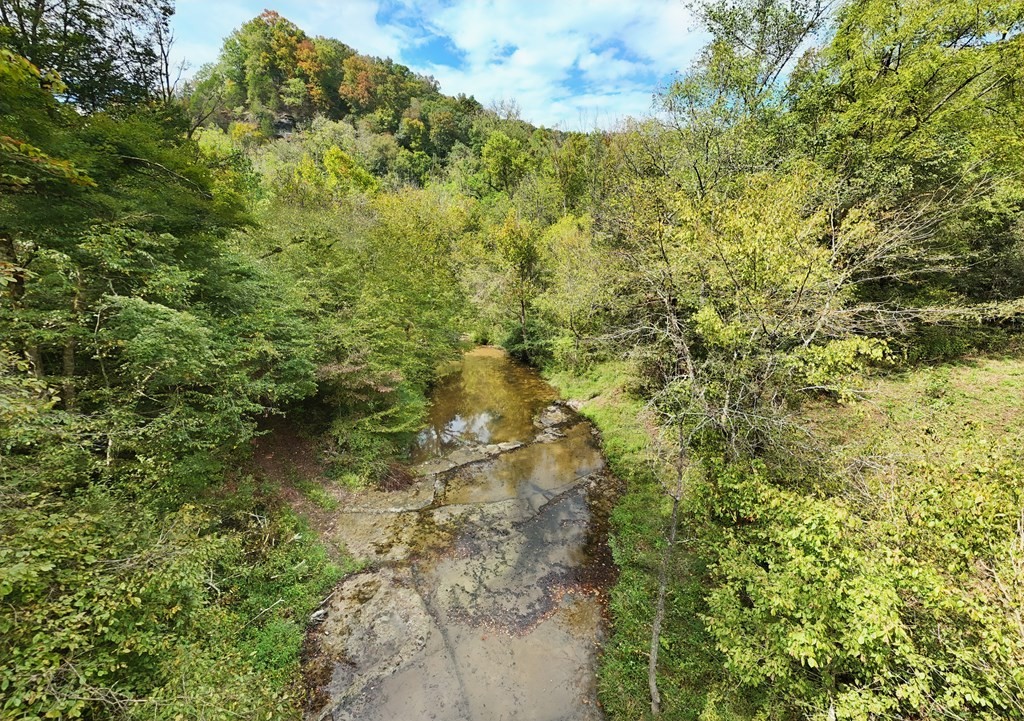 5154 Dry Mill Creek Road Hilham, TN 38568 - Photo 18 of 36 Gallery Image 18