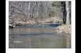 5154 Dry Mill Creek Road Hilham, TN 38568 - Photo 19 of 36 Gallery Image 19