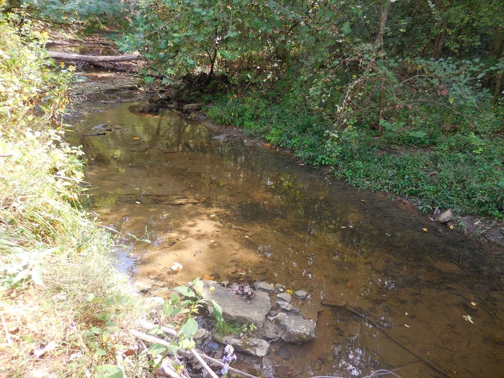 5154 Dry Mill Creek Road Hilham, TN 38568 - Photo 20 of 36 Gallery Image 20