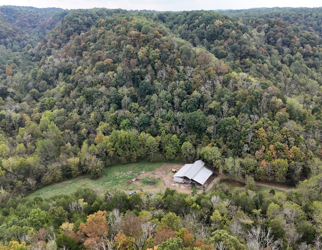 5154 Dry Mill Creek Road Hilham, TN 38568 - Photo 2 of 36 Gallery Image 2