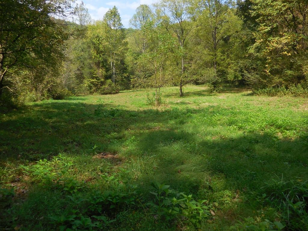 5154 Dry Mill Creek Road Hilham, TN 38568 - Photo 21 of 36 Gallery Image 21