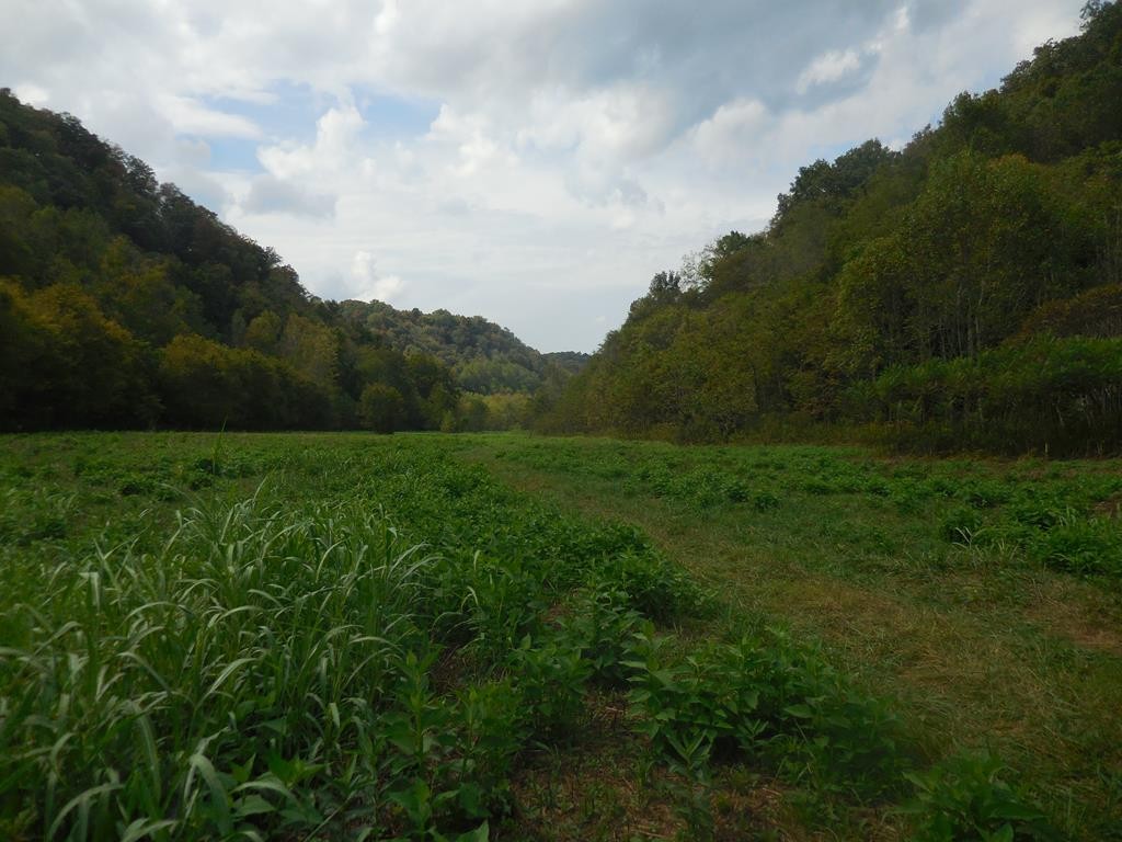 5154 Dry Mill Creek Road Hilham, TN 38568 - Photo 22 of 36 Gallery Image 22