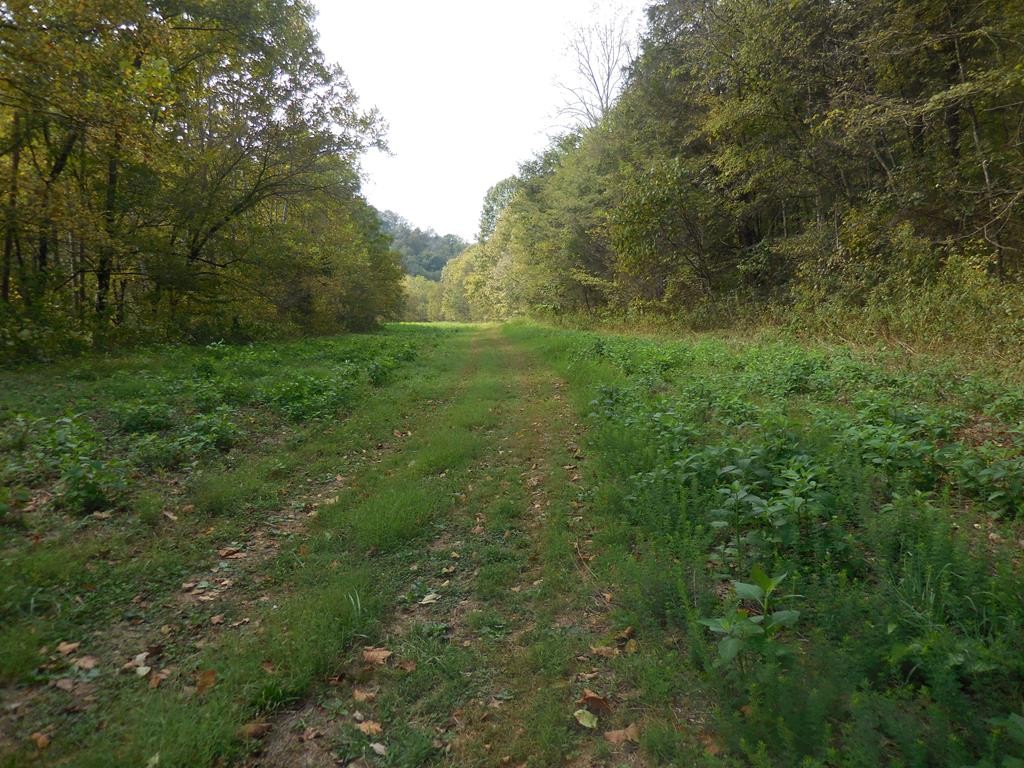 5154 Dry Mill Creek Road Hilham, TN 38568 - Photo 23 of 36 Gallery Image 23