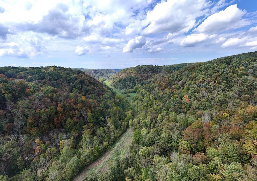 5154 Dry Mill Creek Road Hilham, TN 38568 - Photo 7 of 36 Gallery Image 7
