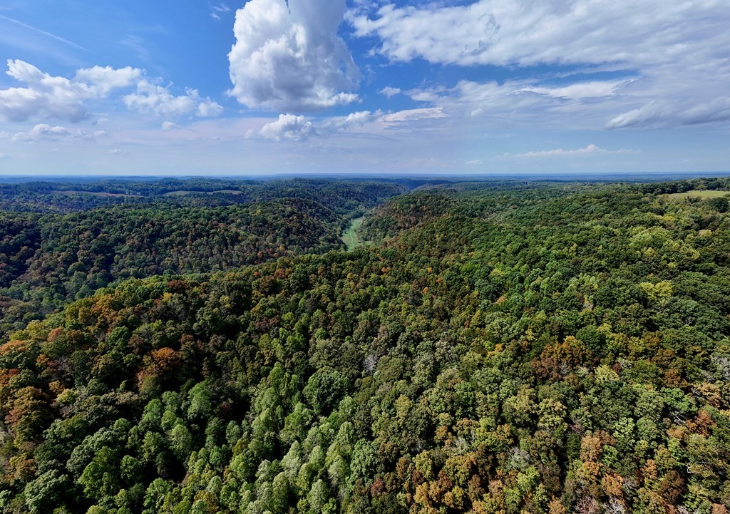 5154 Dry Mill Creek Road Hilham, TN 38568 - Photo 9 of 36 Gallery Image 9