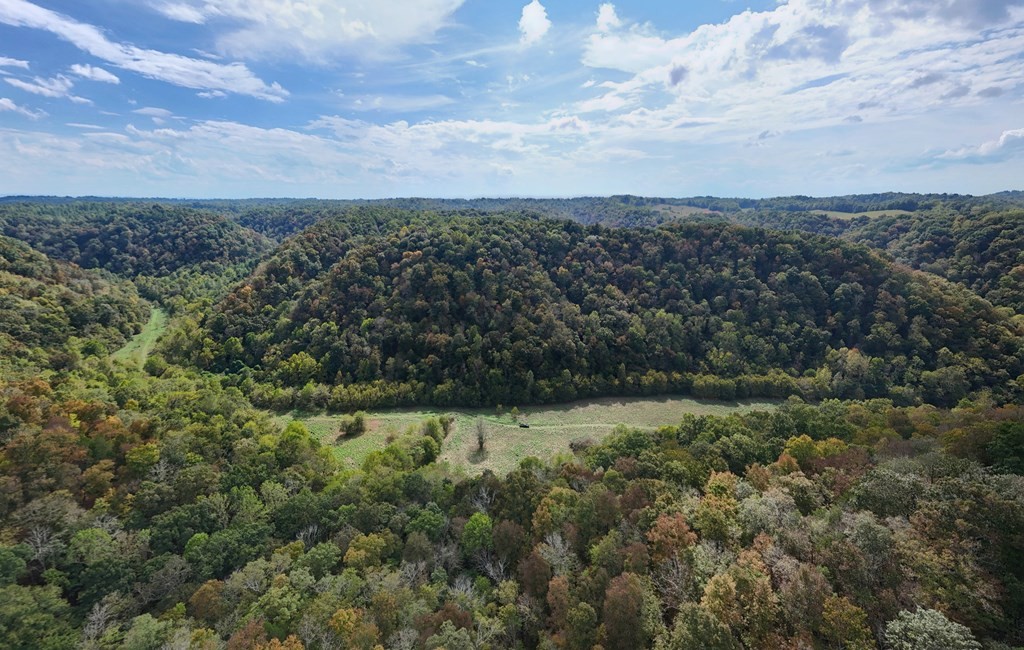 5154 Dry Mill Creek Road Hilham, TN 38568 - Photo 10 of 36 Gallery Image 10