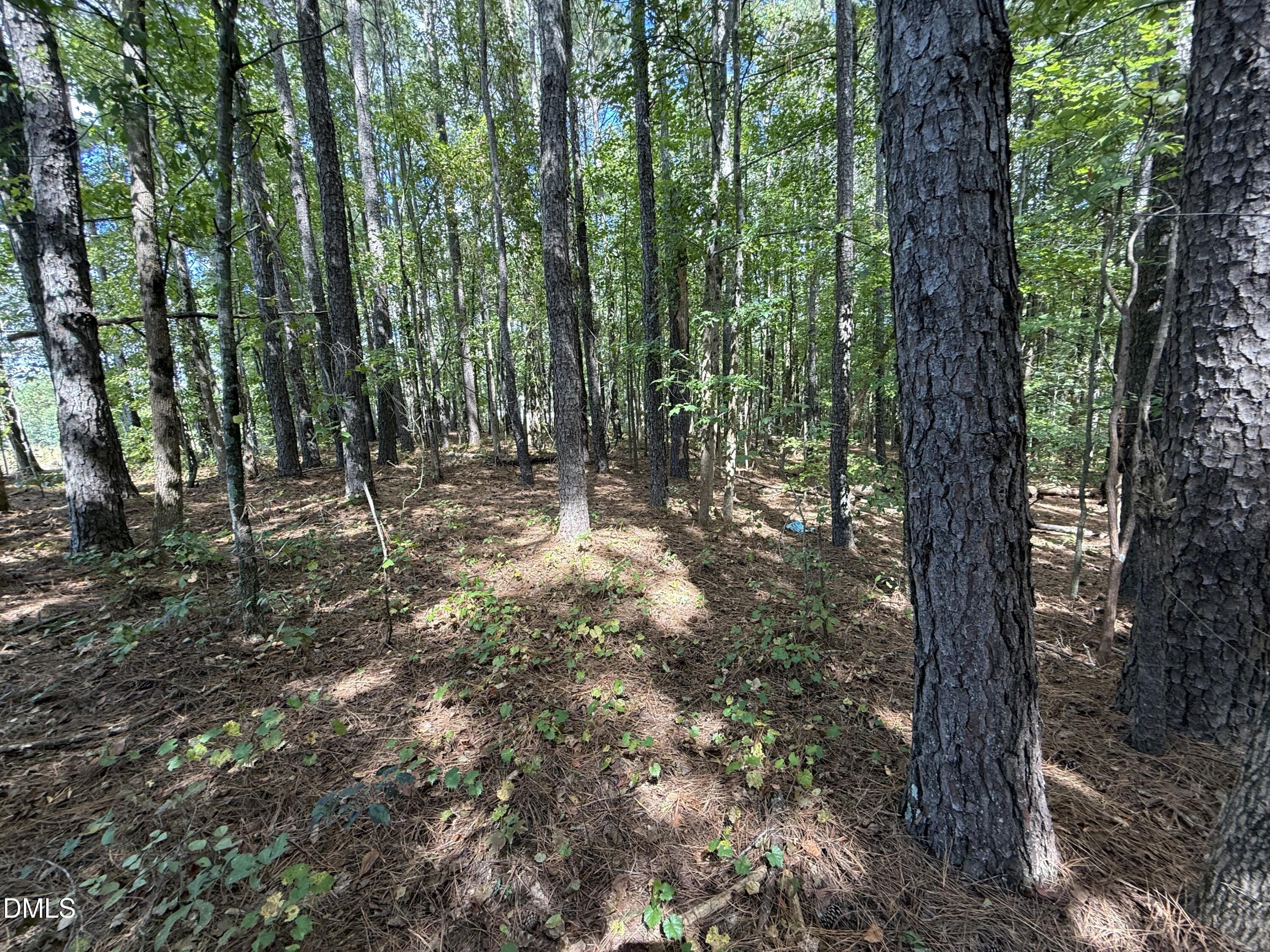 2 Massengill Pond Road Angier, NC 27501 - Photo 8 of 9 IMG_8612