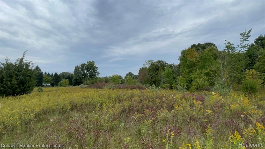 2947 Parmenter Road Corunna, MI 48817 - Photo 12 of 51