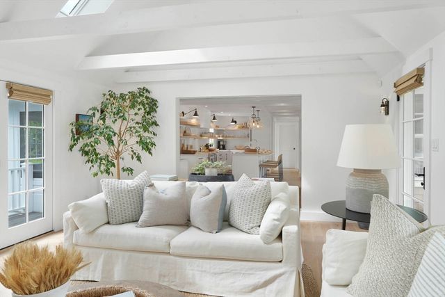 a living room with furniture and a potted plant