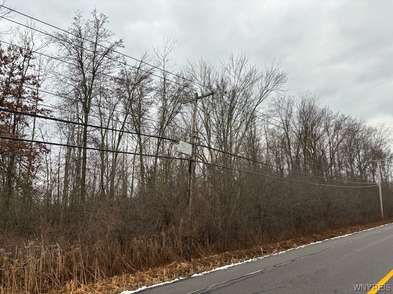 Vl Love Road Grand Island, NY 14072 - Photo 1 of 1 Gallery Image 1