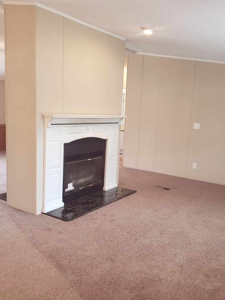 477 Durham Lake Road Dudley, NC 28333 - Photo 3 of 17 Gallery Image 3