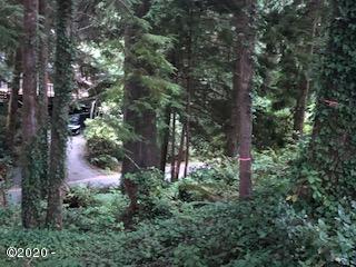 Lot 101 Ridge Crest Gleneden Beach, OR 97388 - Photo 3 of 5 CTT