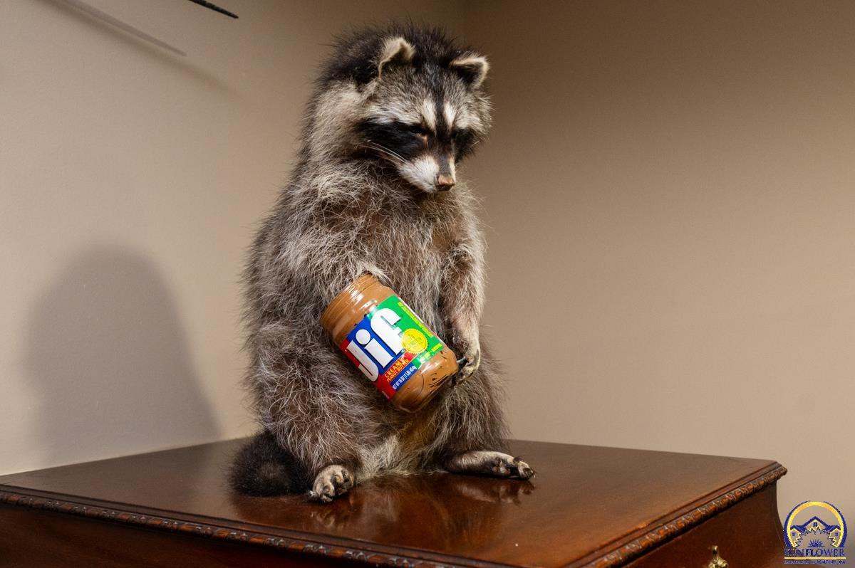 2824 Southwest Burlingame Road Topeka, KS 66611 - Photo 33 of 48