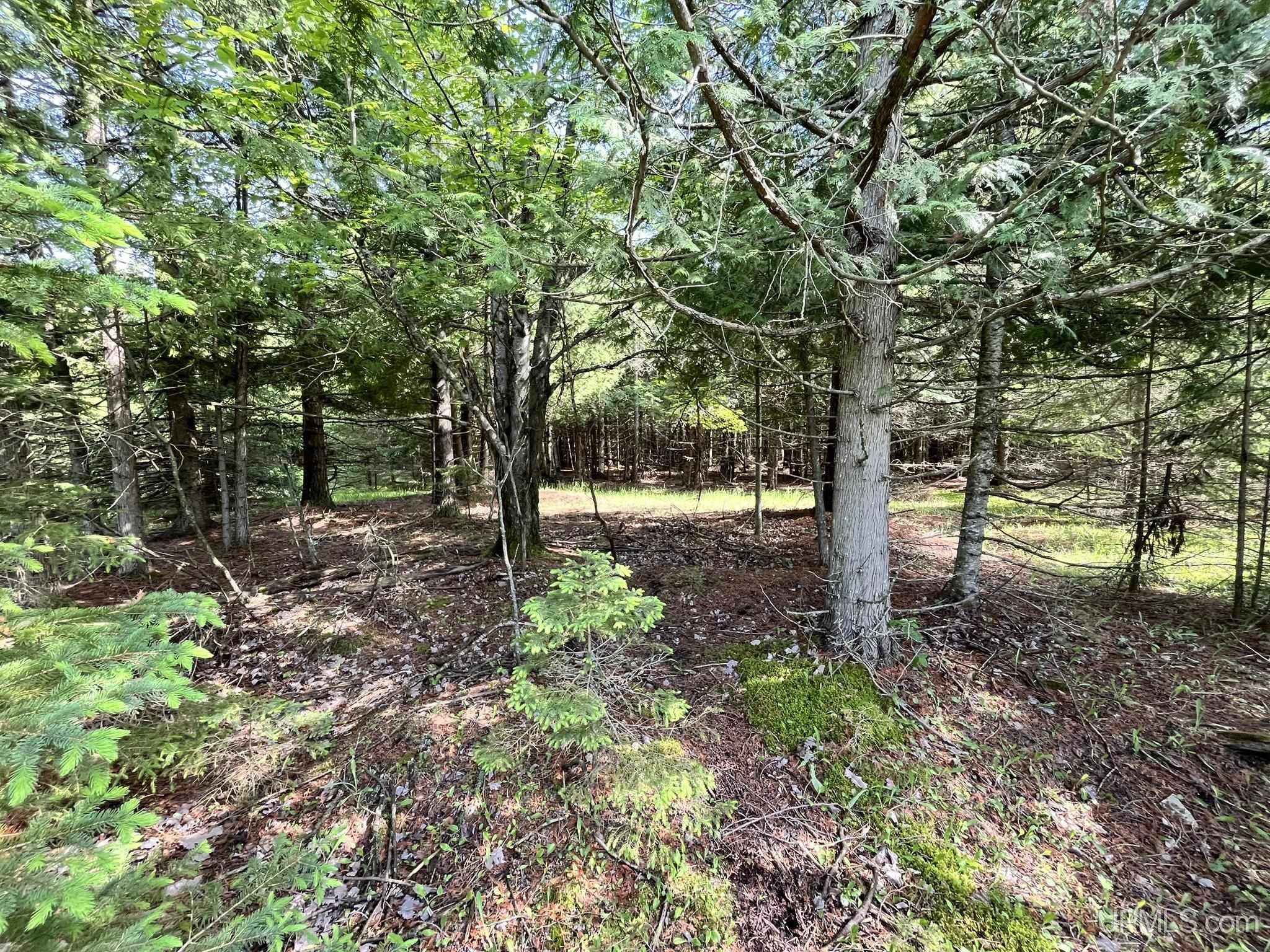 Tbd 16th Road Garden, MI 49835 - Photo 17 of 37
