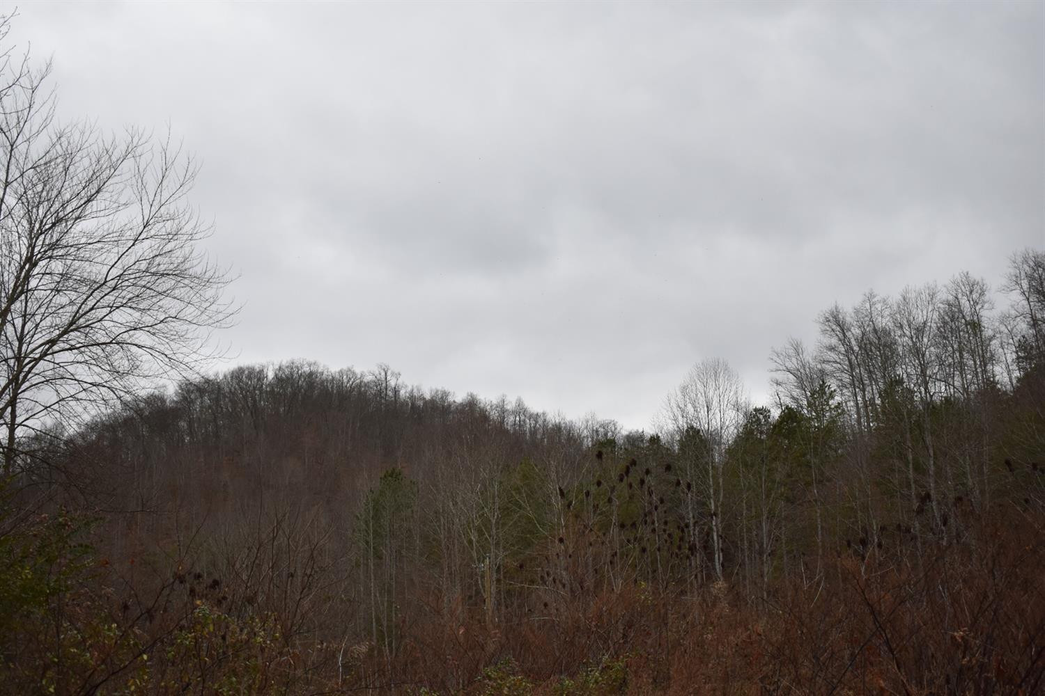 9999 East Crawfish Road Manchester, KY 40962 - Photo 31 of 52 Photo 31