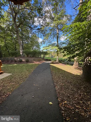 a view of a yard with plants and trees