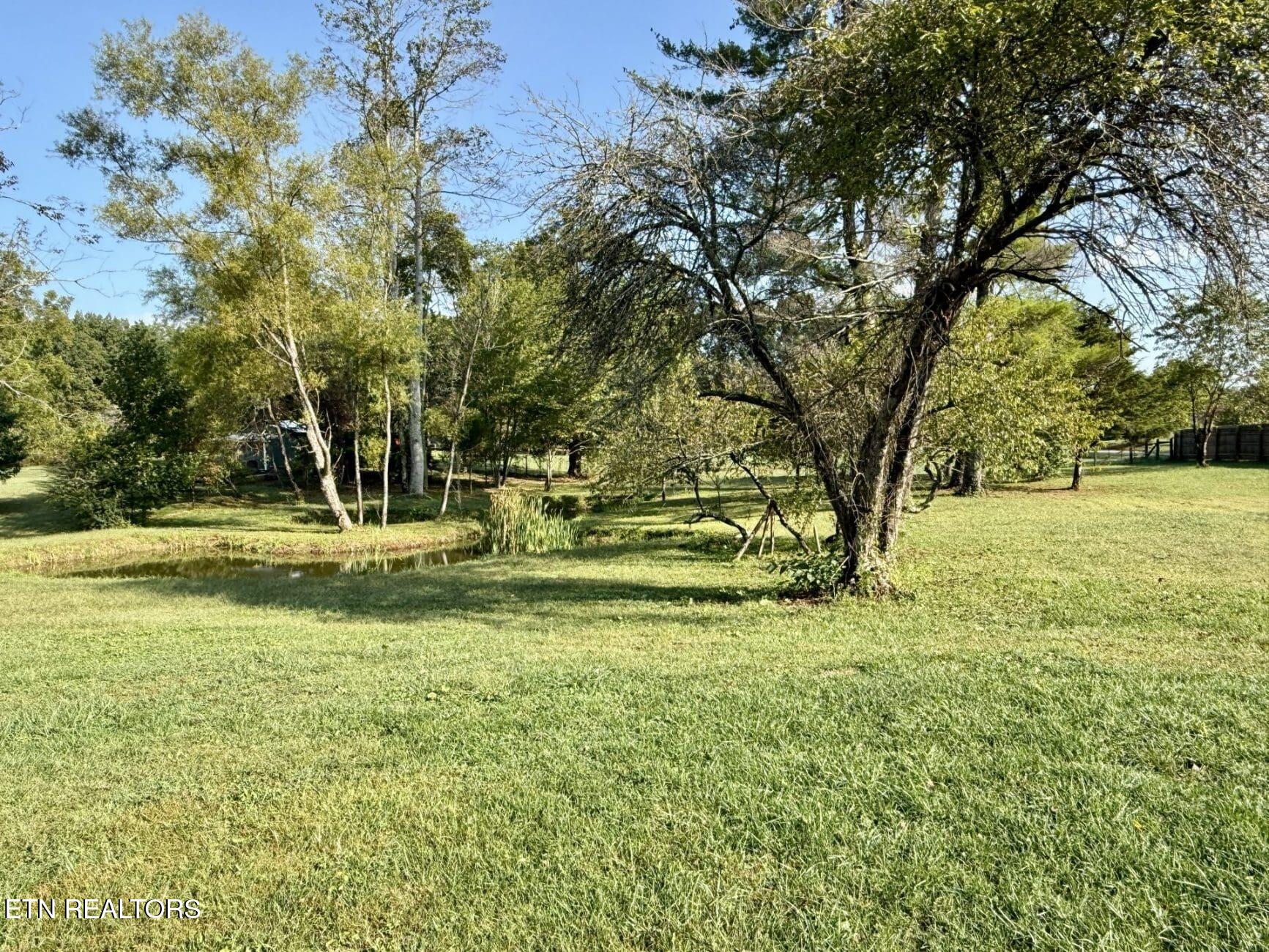 1475 Taylor Place Road Jamestown, TN 38556 - Photo 7 of 14 19-111-scaled