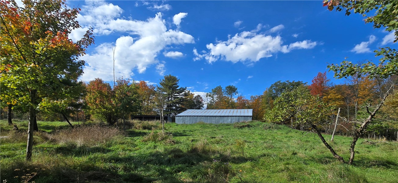 4740 Tucker Road Thurston, NY 14821 - Photo 3 of 46 Gallery Image 3