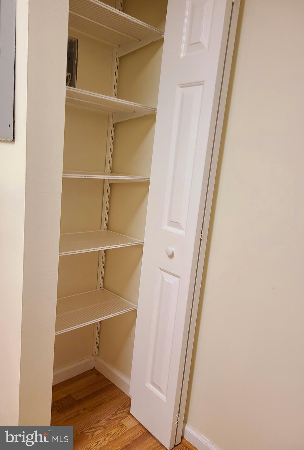 117 Brandon Road Norristown, PA 19403 - Photo 19 of 52 pantry closet