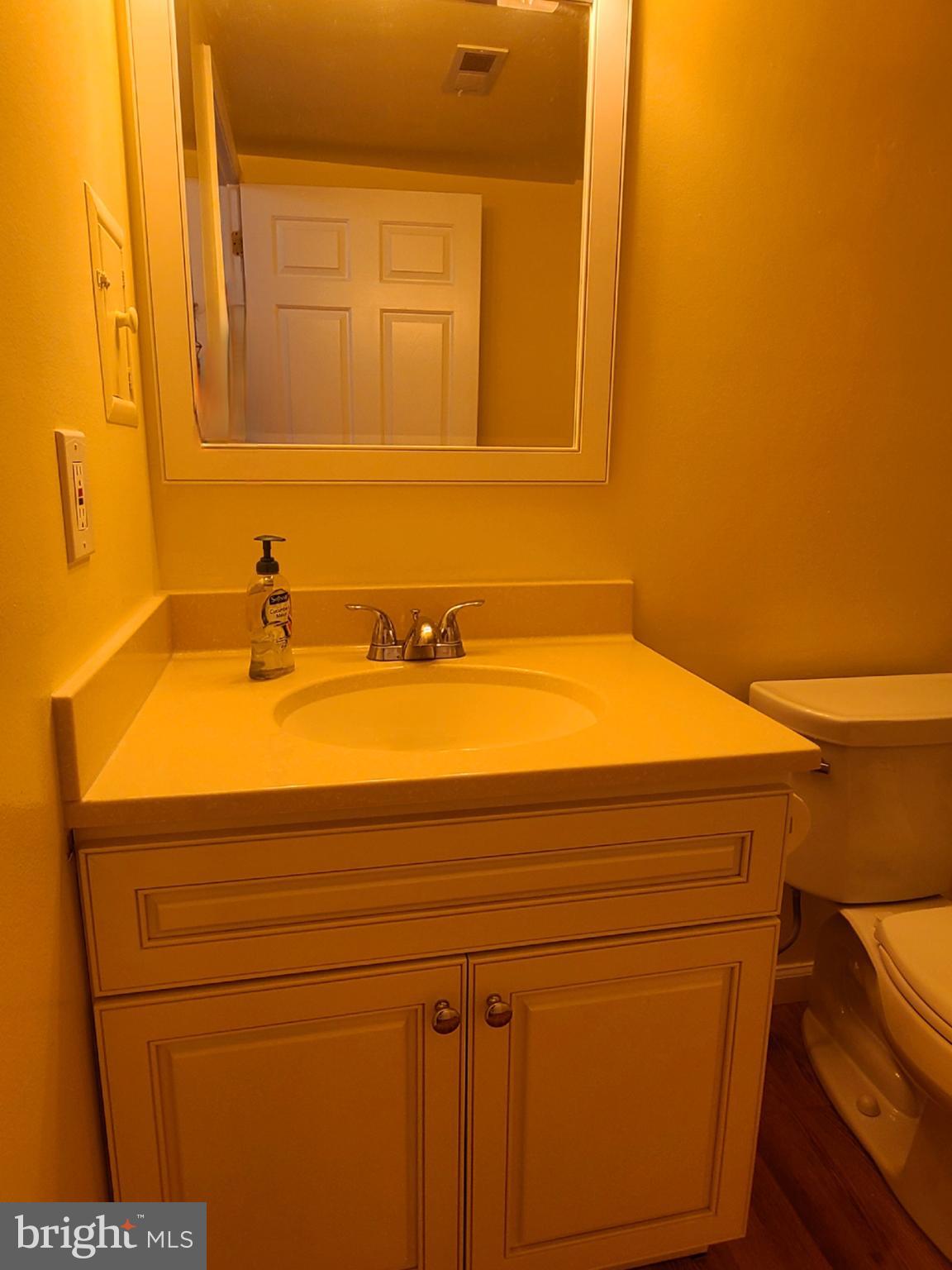 117 Brandon Road Norristown, PA 19403 - Photo 24 of 52 updated cabinet and mirror