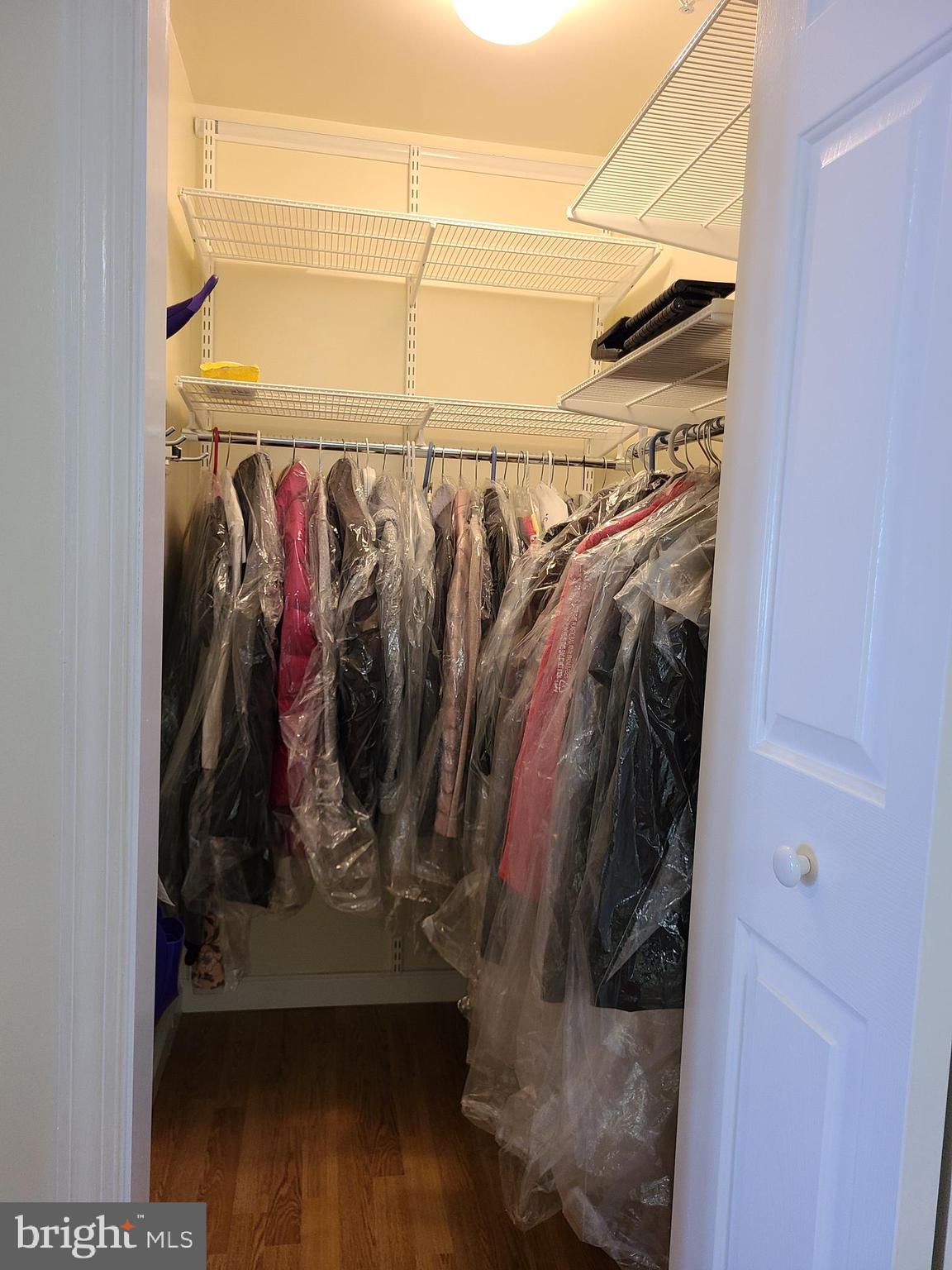 117 Brandon Road Norristown, PA 19403 - Photo 31 of 52 Hall closet organizer