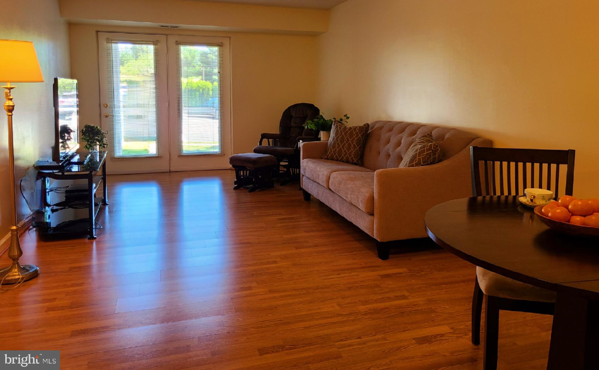 117 Brandon Road Norristown, PA 19403 - Photo 4 of 52 living room with view