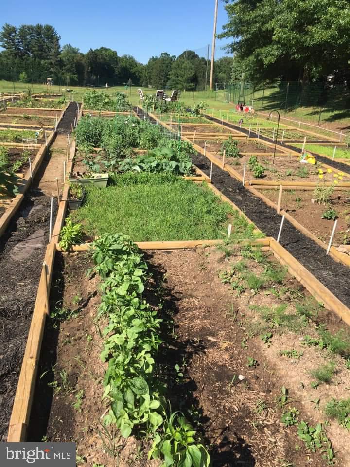 117 Brandon Road Norristown, PA 19403 - Photo 50 of 52 Community Gardens