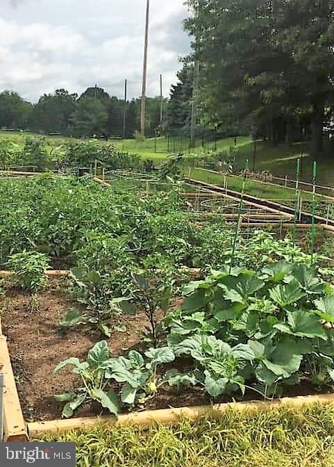 117 Brandon Road Norristown, PA 19403 - Photo 52 of 52 Community Garden