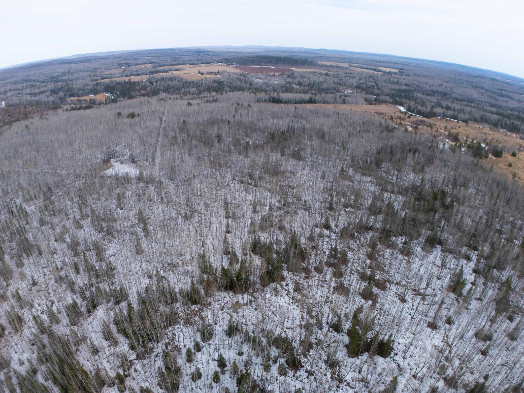 Tbd Lois Lane Port Wing, WI 54865 - Photo 9 of 42