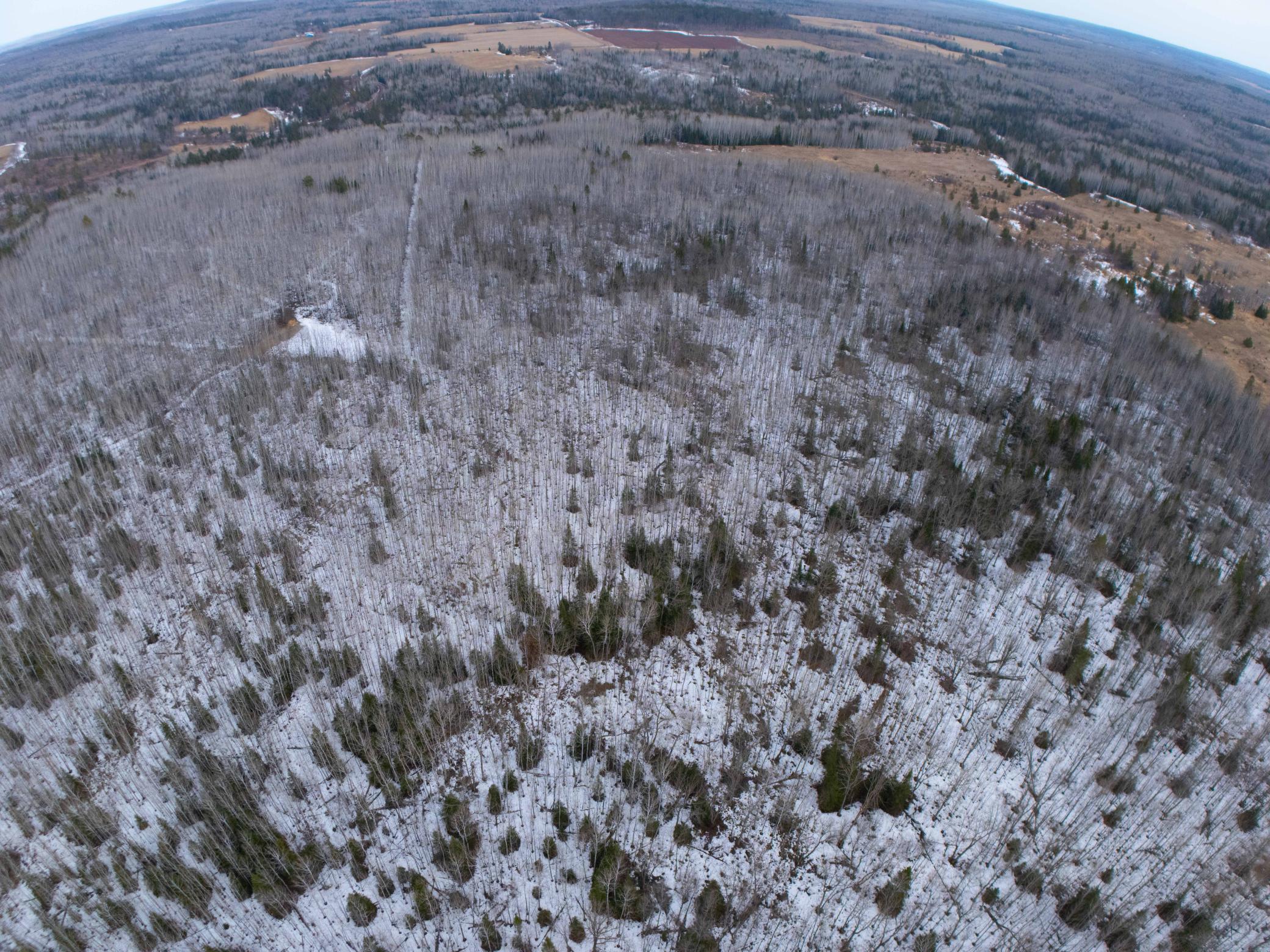 Tbd Lois Lane Port Wing, WI 54865 - Photo 10 of 42