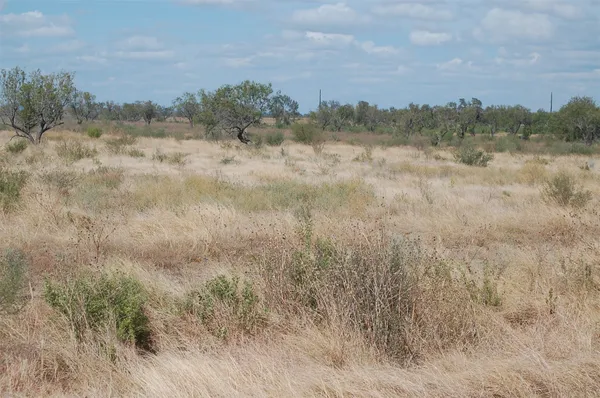 a view of a lake in middle of forest