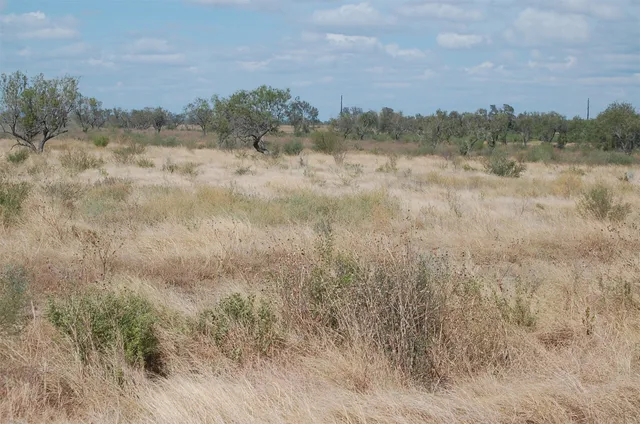 a view of a lake in middle of forest