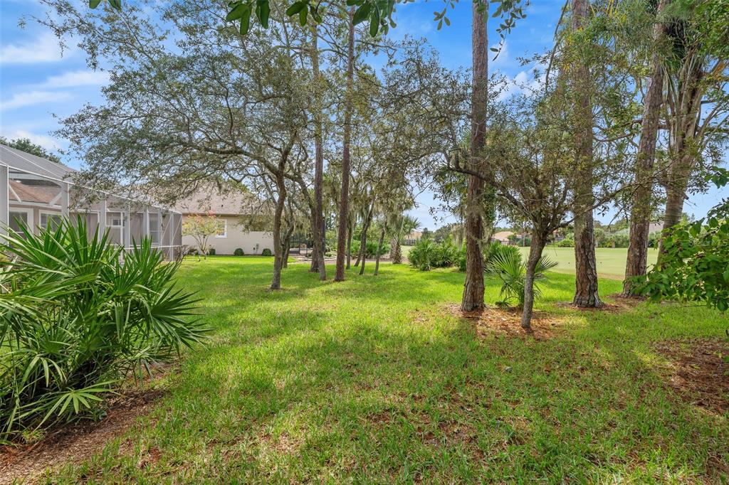 19 Lakeview Lane Palm Coast, FL 32137 - Photo 39 of 81