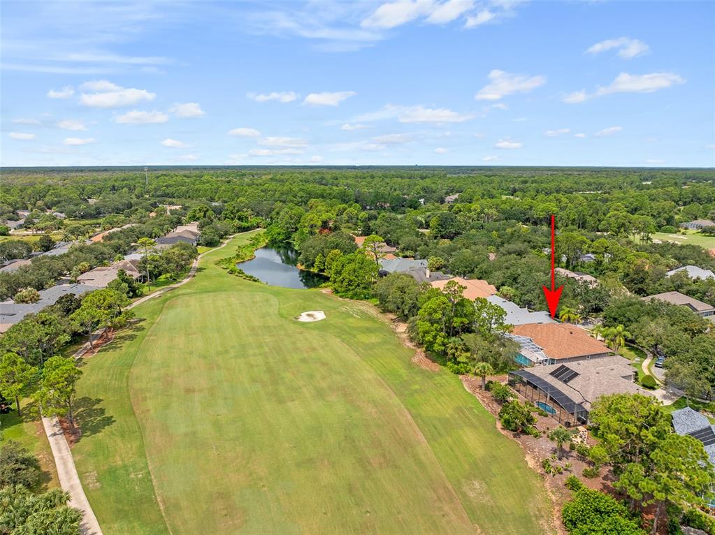19 Lakeview Lane Palm Coast, FL 32137 - Photo 42 of 81 an aerial view of residential houses with outdoor space and trees