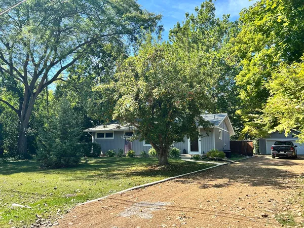 a view of a tree in a yard next to a lake