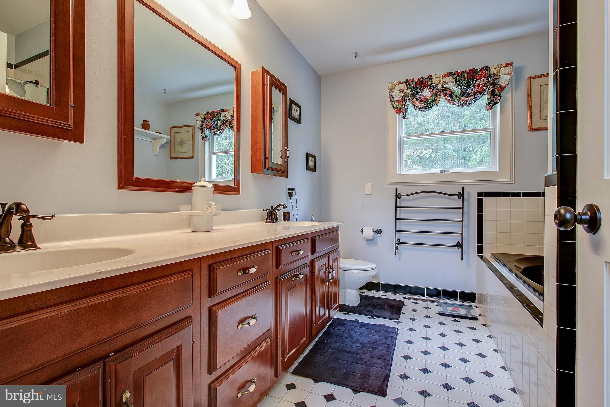 22611 Old Hundred Road Barnesville, MD 20838 - Photo 43 of 68 Master Bathroom