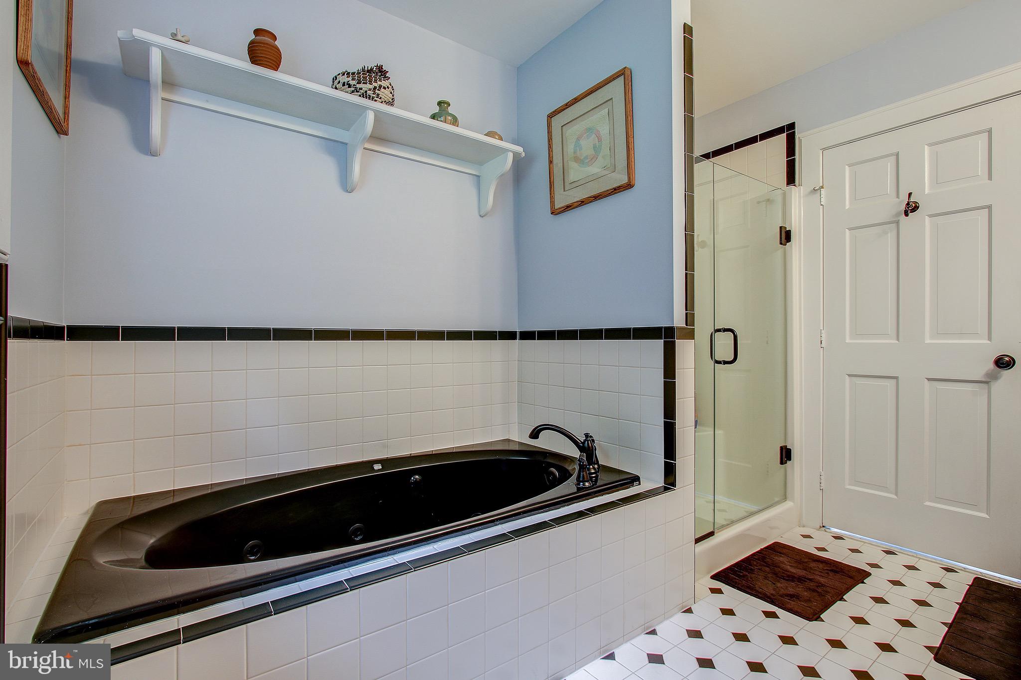 22611 Old Hundred Road Barnesville, MD 20838 - Photo 44 of 68 Master Batahroom