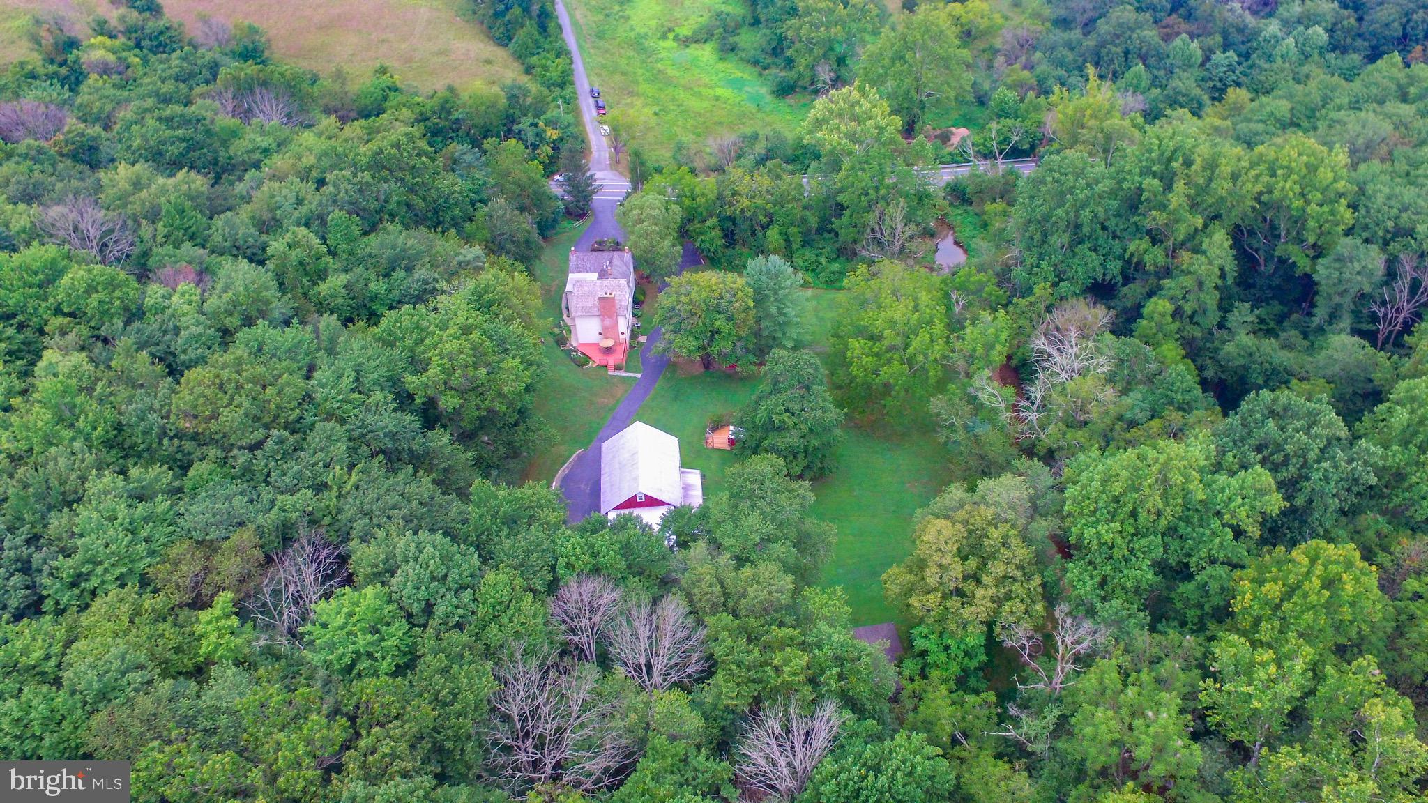 22611 Old Hundred Road Barnesville, MD 20838 - Photo 8 of 68 Backs to the woods and creek!
