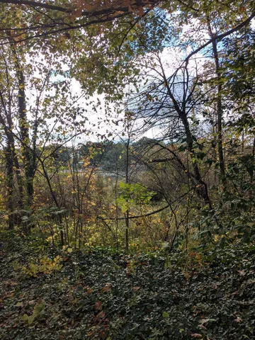 $35,000 | 66991 Winding River Road, Constantine, MI 49042