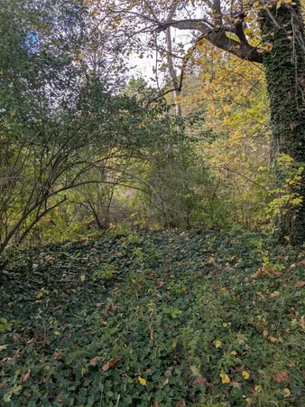 $25,000 | 66991 Winding River Road, Constantine, MI 49042