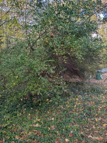 $35,000 | 66991 Winding River Road, Constantine, MI 49042