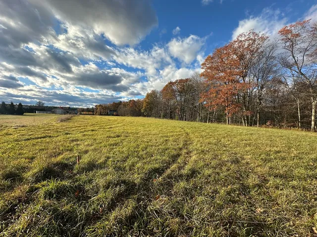 a view of a yard with a house in the background