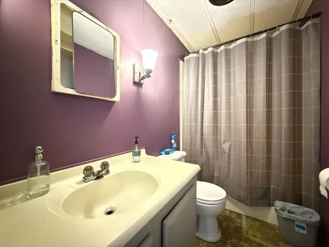 a bathroom with a sink a toilet and shower curtain